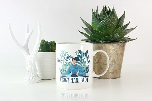 Hobbies Mugs Crazy Plant Lady Mug crazy plant lady